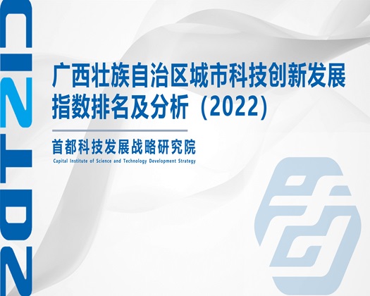 午夜日屄视频【成果发布】广西壮族自治区城市科技创新发展指数排名及分析（2022）